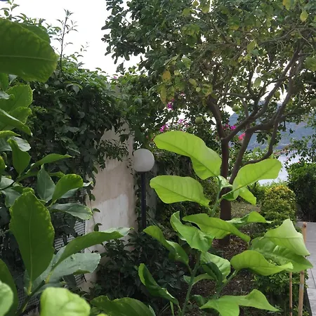 C Apartment